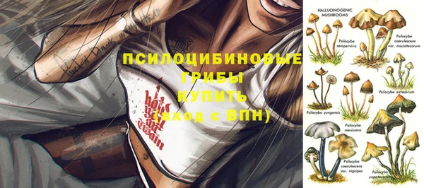 ГАЛЛЮЦИНОГЕННЫЕ ГРИБЫ Баксан