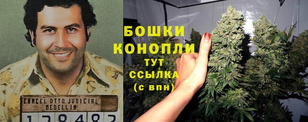 ГАЛЛЮЦИНОГЕННЫЕ ГРИБЫ Баксан
