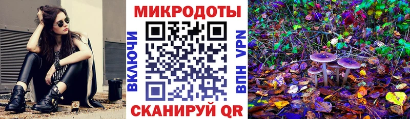 Псилоцибиновые грибы Psilocybine cubensis  закладка  darknet Telegram  Озёры 